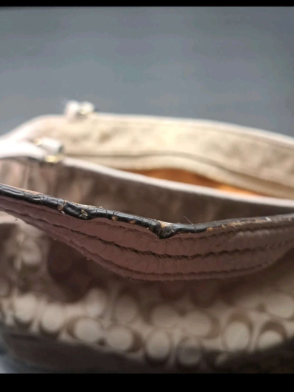 Coach Park Signature Carrie Tote Purse Handbag